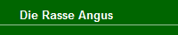Die Rasse Angus